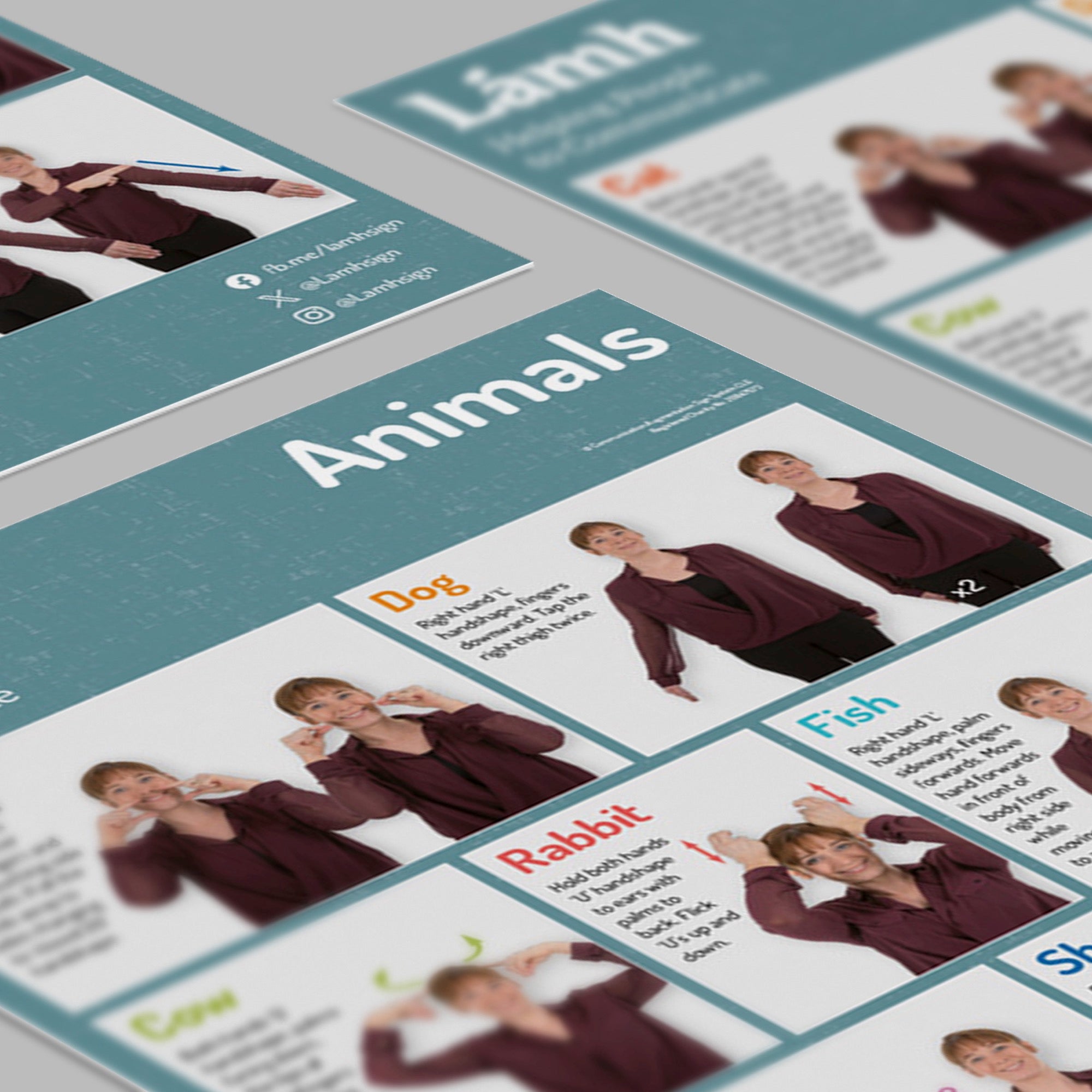 Educational materials with text and images of people, likely for teaching purposes.