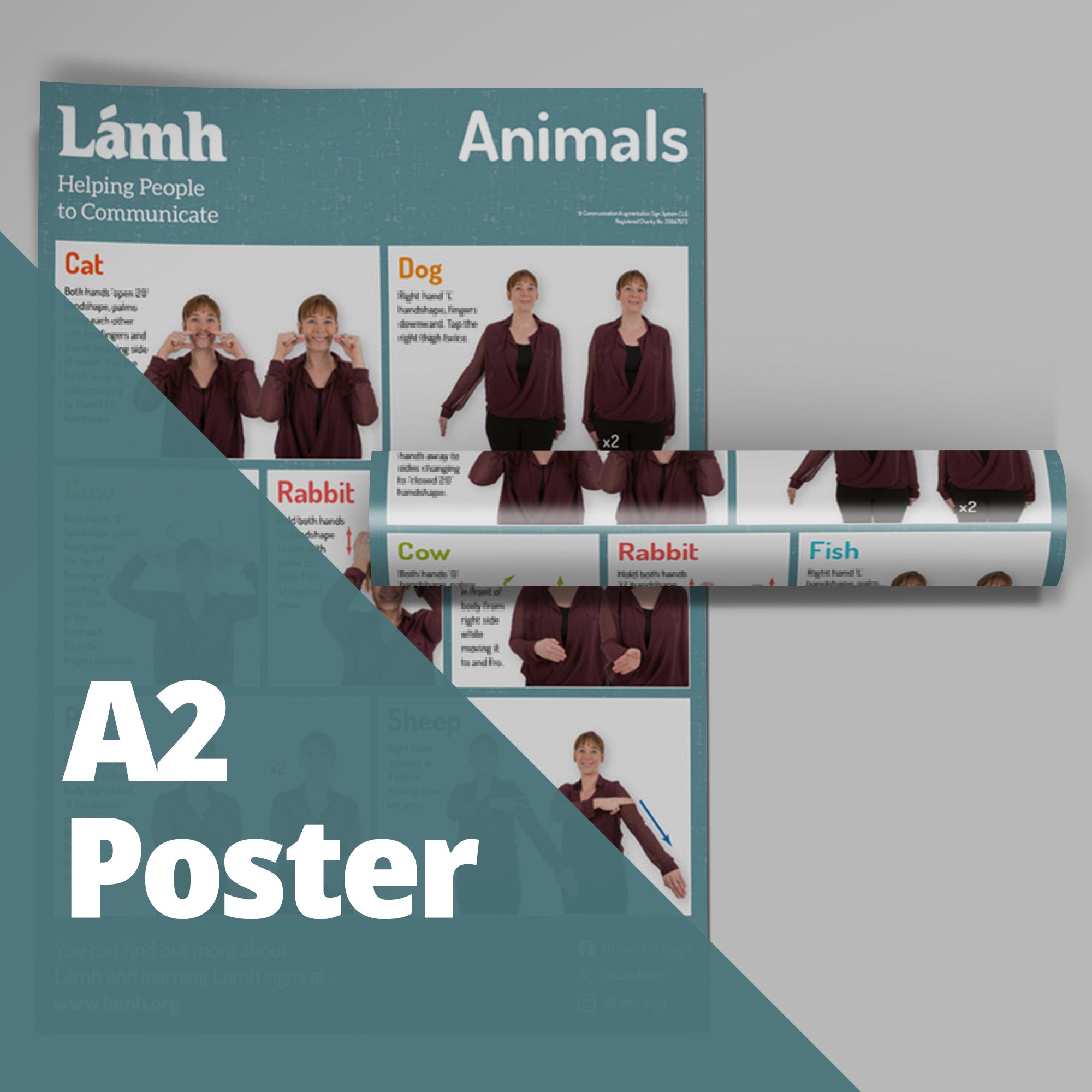 A2 poster for communication with images and text of animals